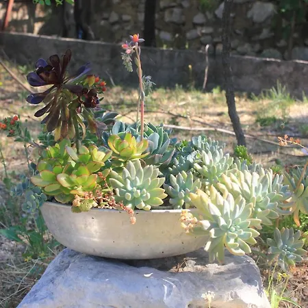 Apartament With Parking Space Orebic, Peljesac - 10178 Orebić