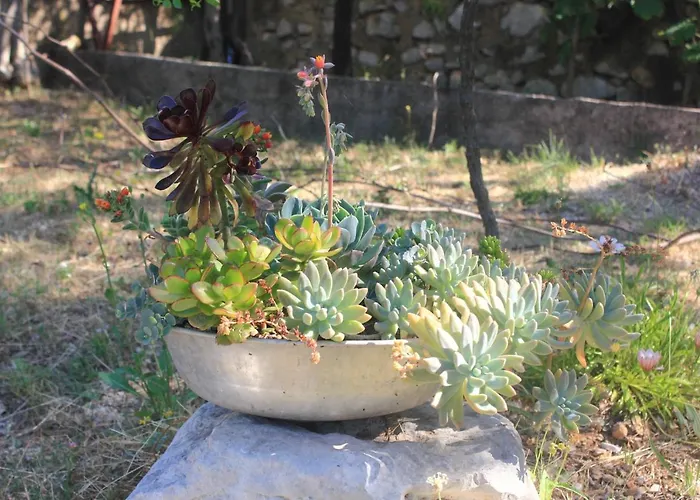 Διαμέρισμα With Parking Space Orebic, Peljesac - 10178 Orebić